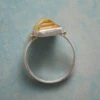Delicate Nuance Ring